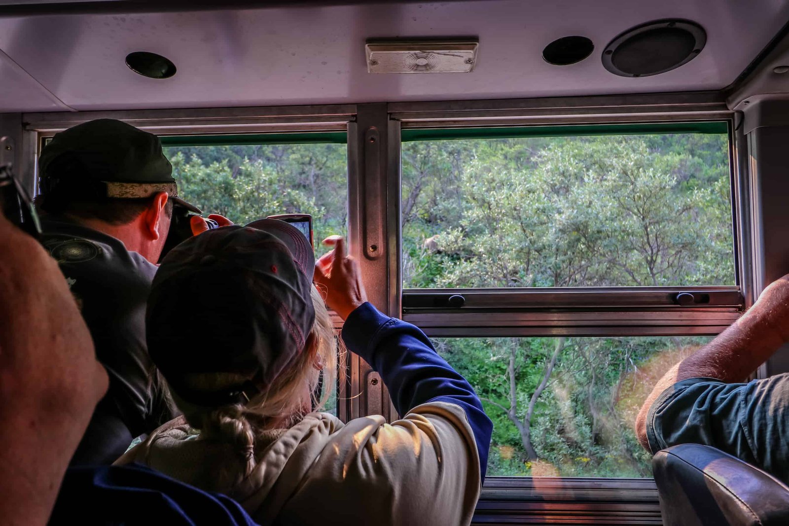 Wildlife in Denali National Park – ATW Trip Day #12